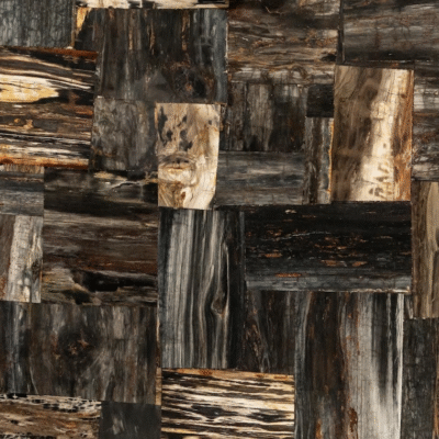 Black petrified retro Semi-Precious Stone Slab