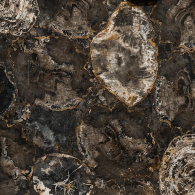 Black Petrified Wood Semi-Precious Stone Slab