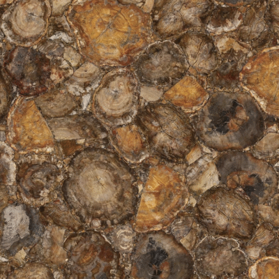 Brown Petrified Wood Semi-Precious Stone Slab