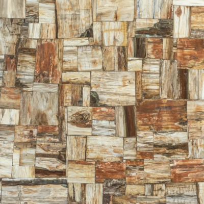 Petrified Retro Extra Semi-Precious Stone Slab