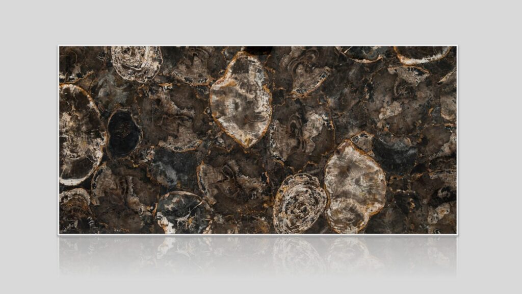 Black Petrified Wood Semi-Precious Stone Slab