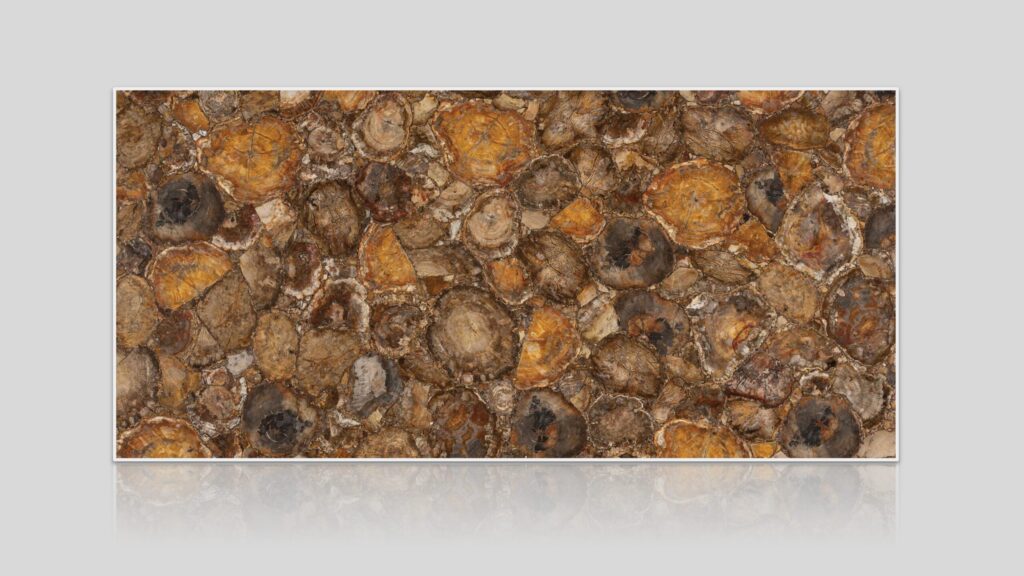Brown Petrified Wood Semi-Precious Stone Slab