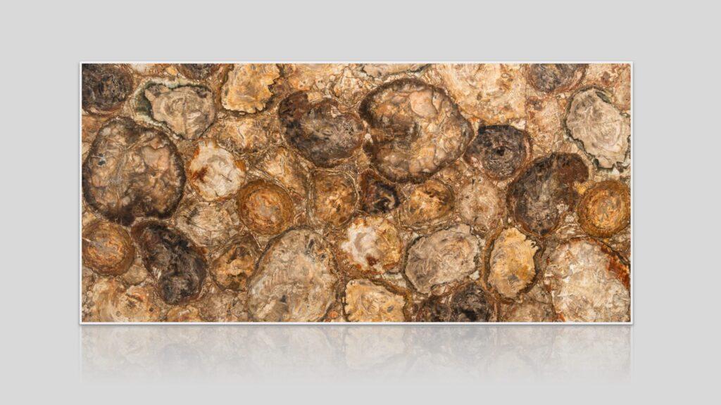 Brown Petrified Wood Semi-Precious Stone Slab