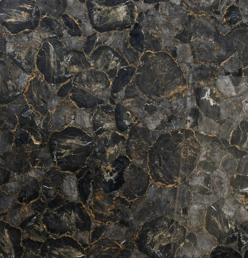 Black petrified Extra Semi-Precious Stone Slab