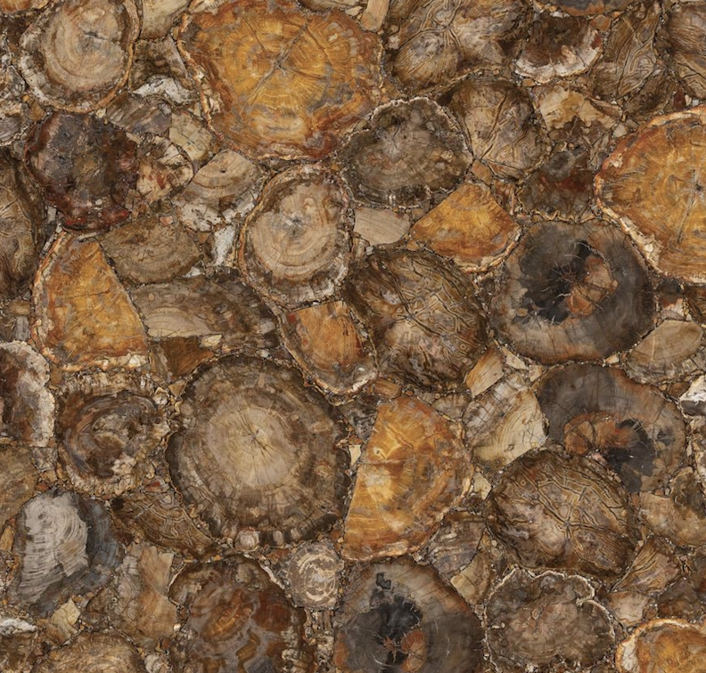 Brown Petrified Wood Semi-Precious Stone Slab