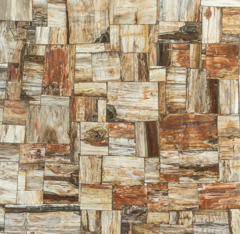 Petrified Retro Extra Semi-Precious Stone Slab