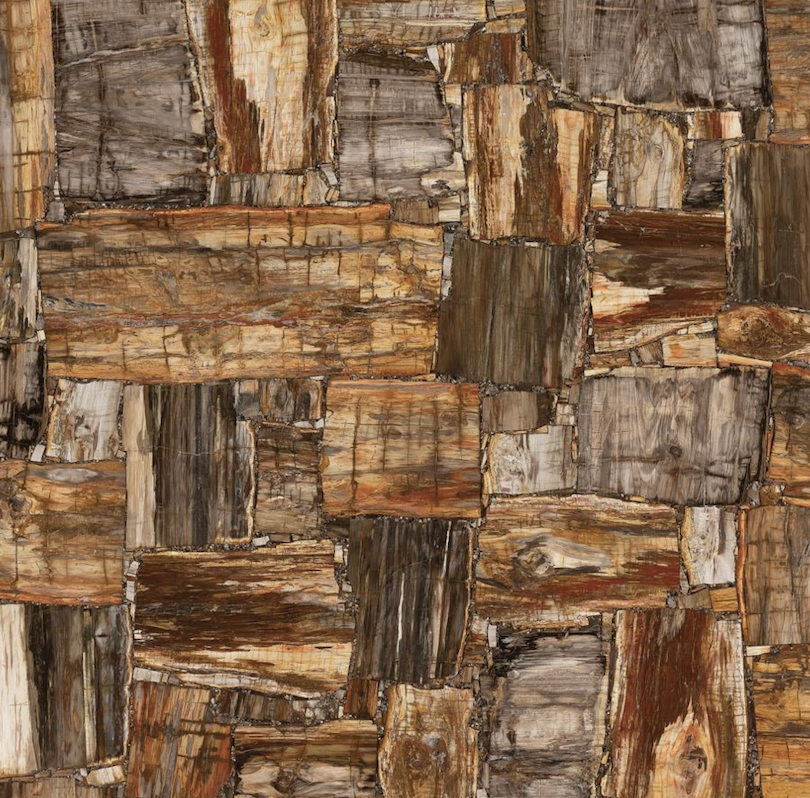 Petrified Wood Brown Retro Semi-Precious Stone Slab
